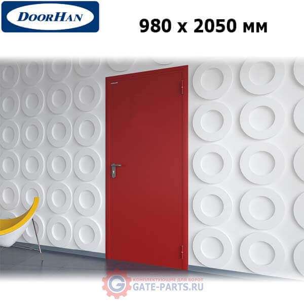 DPG60/980/2050/7035/R/N Doorhan Дверь противопожарная 980х2050 одностворчатая, глухая, правая, EI60 (шт.)